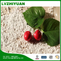 urea fertilizer of nitrogen use in agriculture